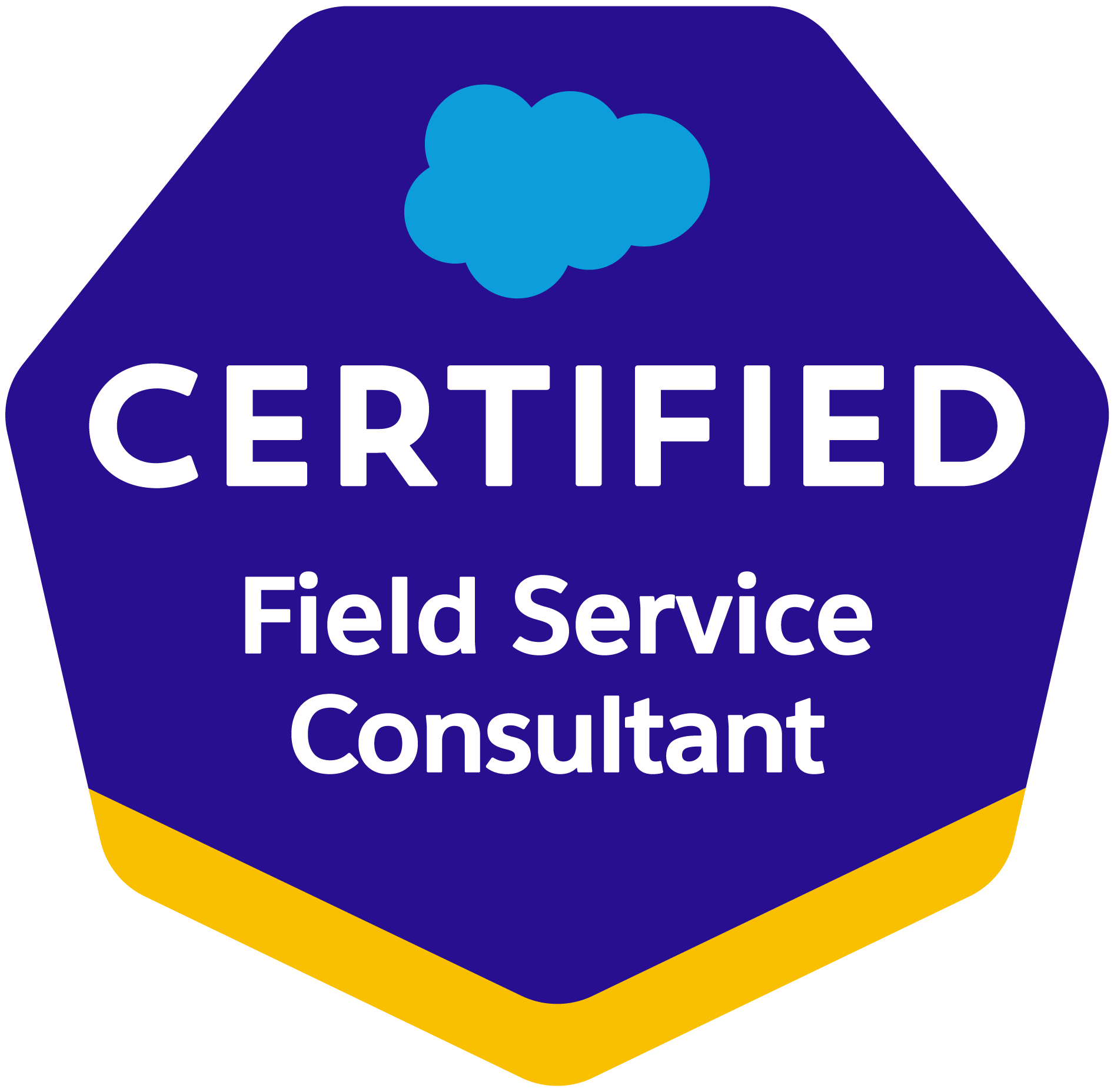 AMDIS certificated as Salesforce Field Service Consultant